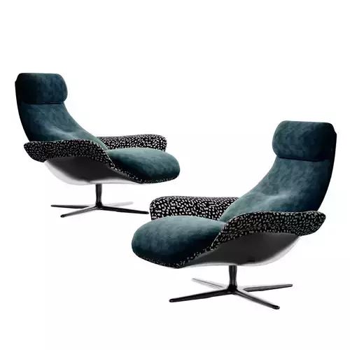 Modern lounge chairs Dining chair Side chair