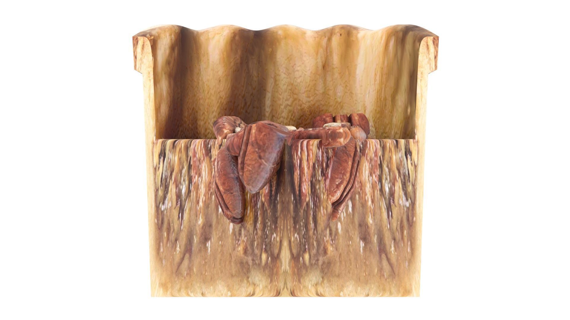 Pecan Pie 3D model_20