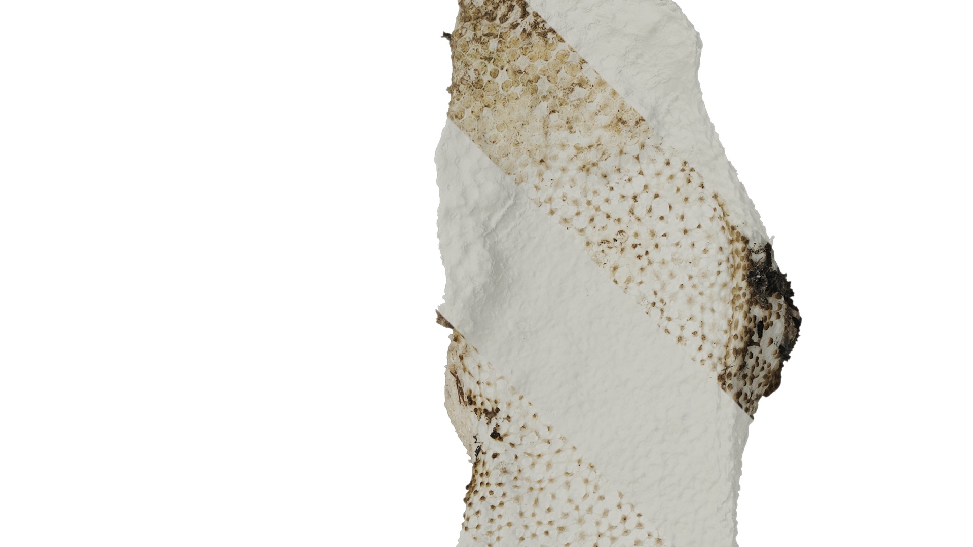 Anydrafts Burnt plastic foam 02 Texture_2