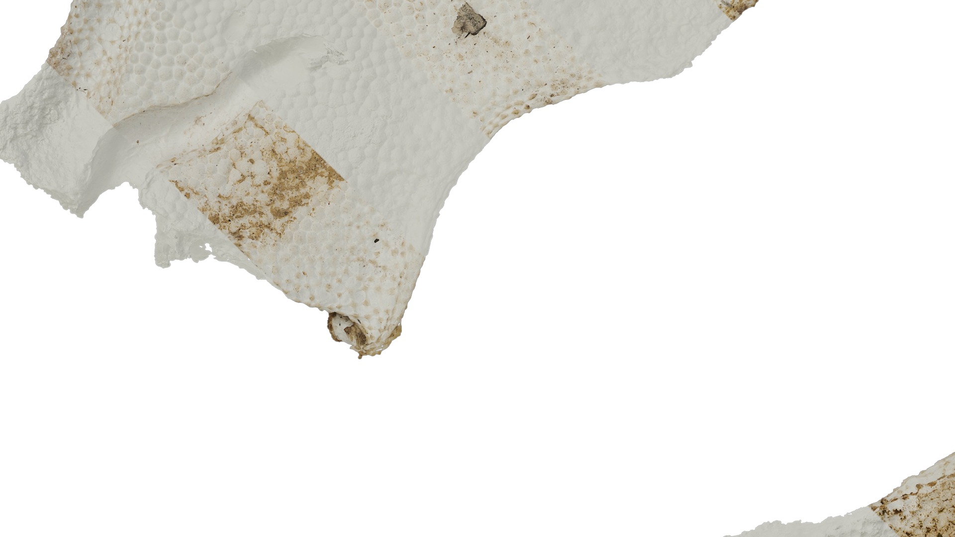 Anydrafts Burnt plastic foam 02 Texture_5