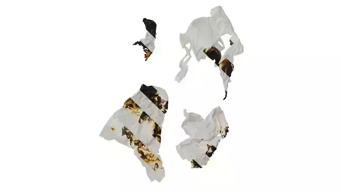 Anydrafts Burnt toilet paper 01