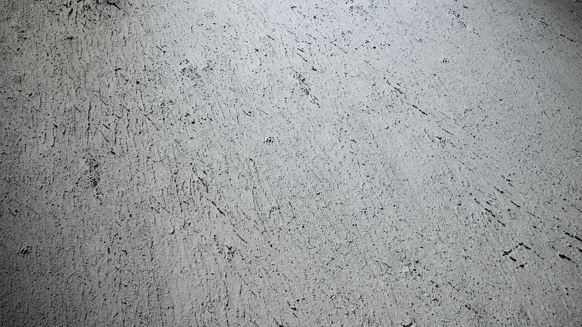 Acacia confusa Low-poly 3D model_2