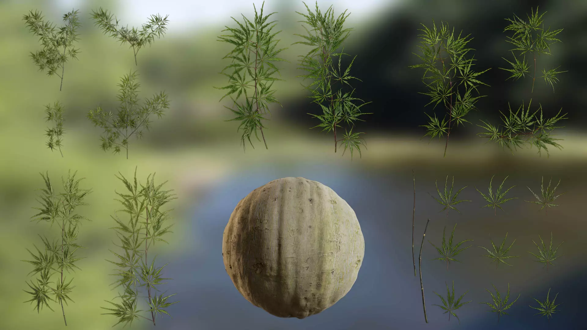 Acer palmatum dissectum Low-poly 3D model
