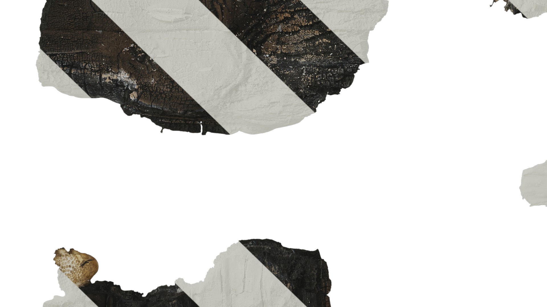 Anydrafts Burnt wood 01 Texture_5