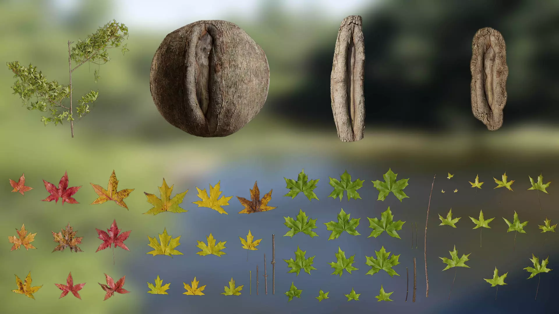 Acer saccharum Low-poly 3D model