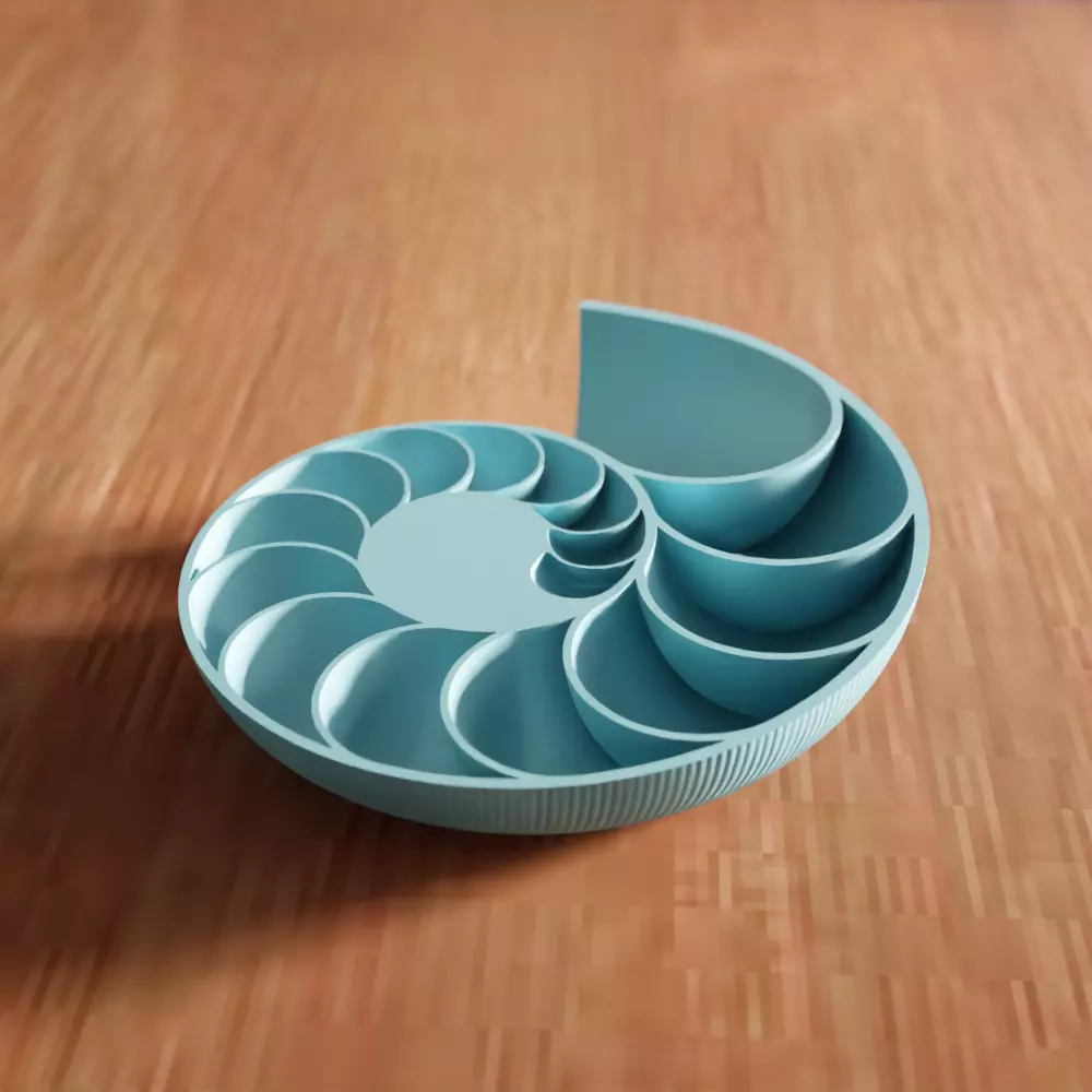 Sea Shell Decor - 231 3D print model_0