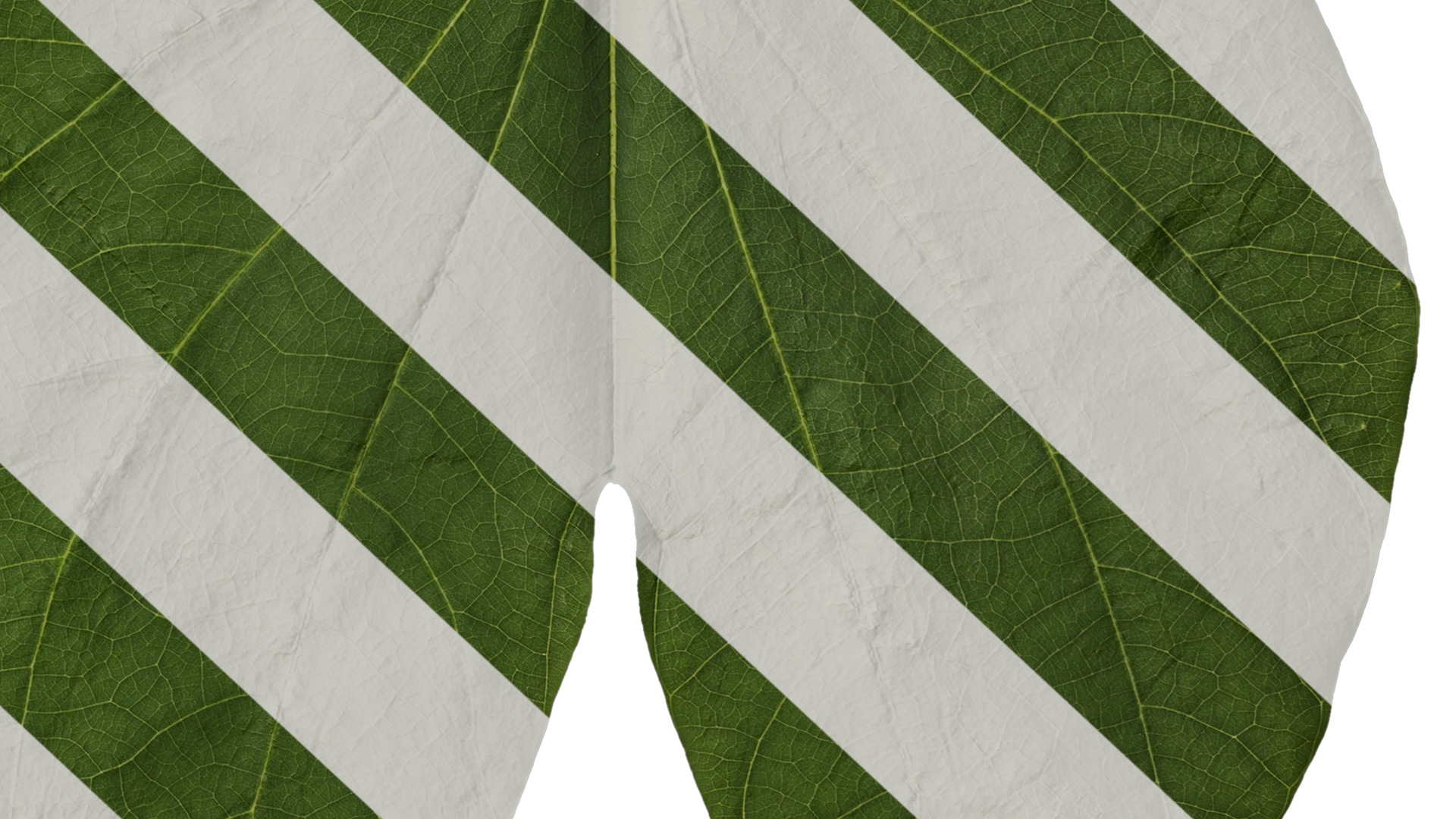 Bauhinia variegata Low-poly 3D model_74