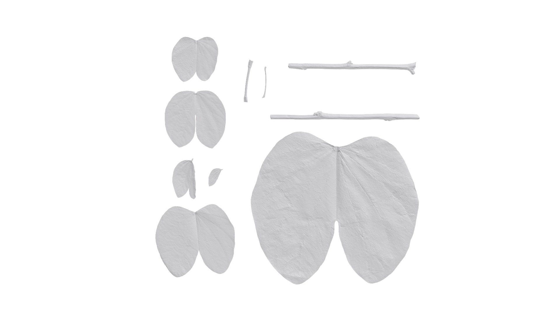 Bauhinia variegata Low-poly 3D model_67