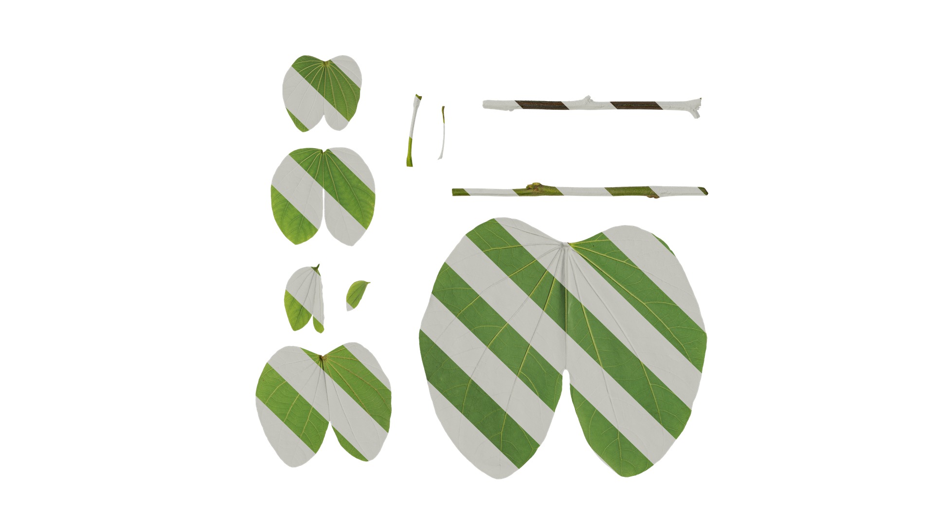 Bauhinia variegata Low-poly 3D model_59