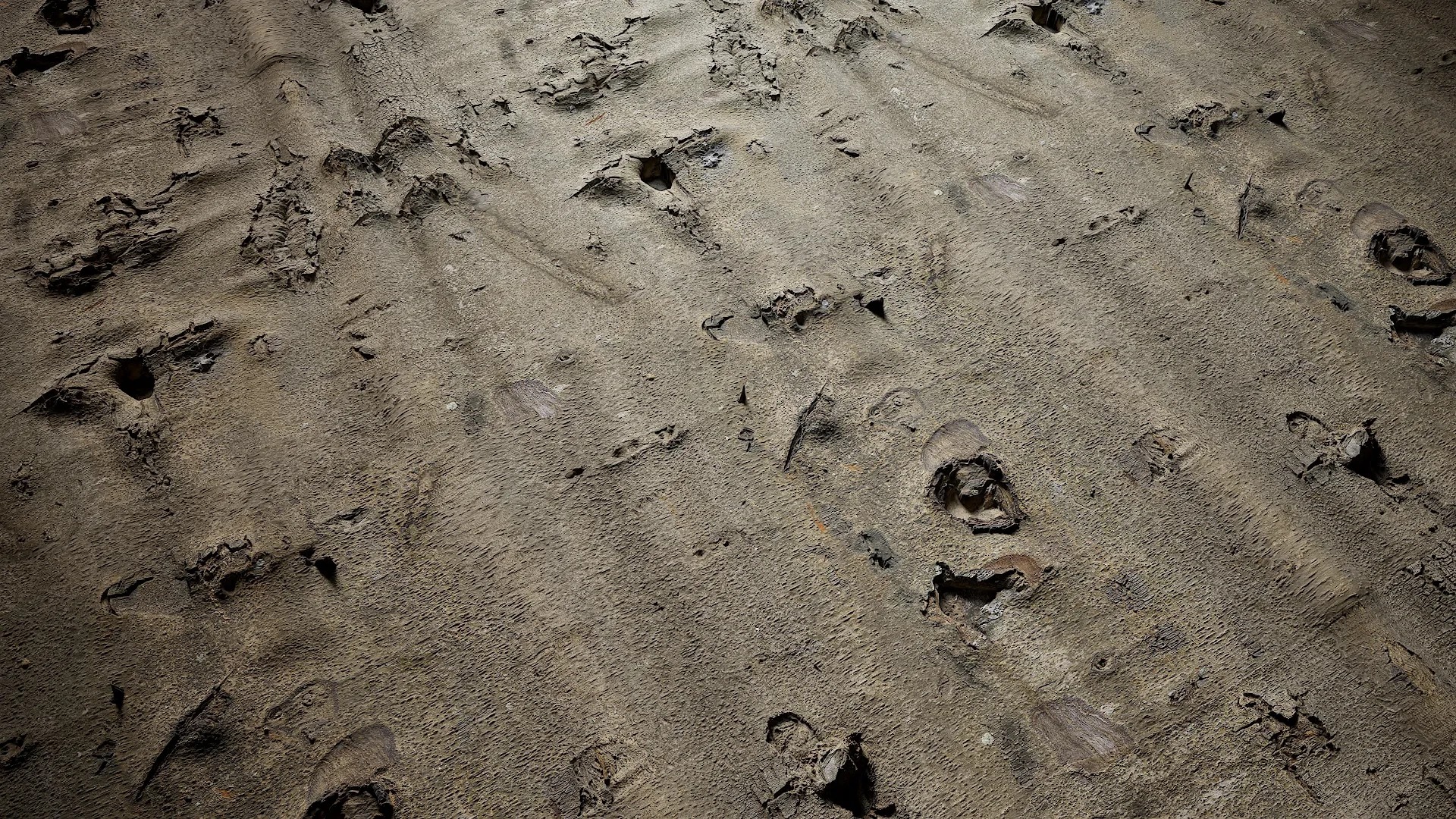 Bauhinia variegata Low-poly 3D model_46