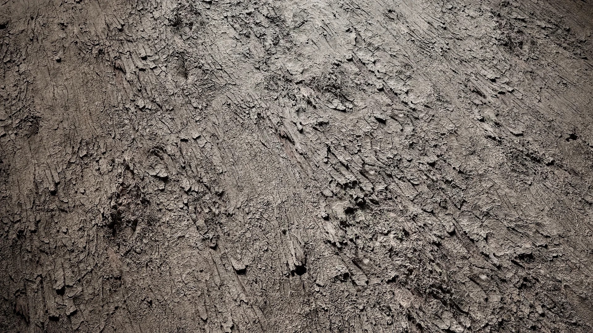 Bauhinia variegata Low-poly 3D model_44