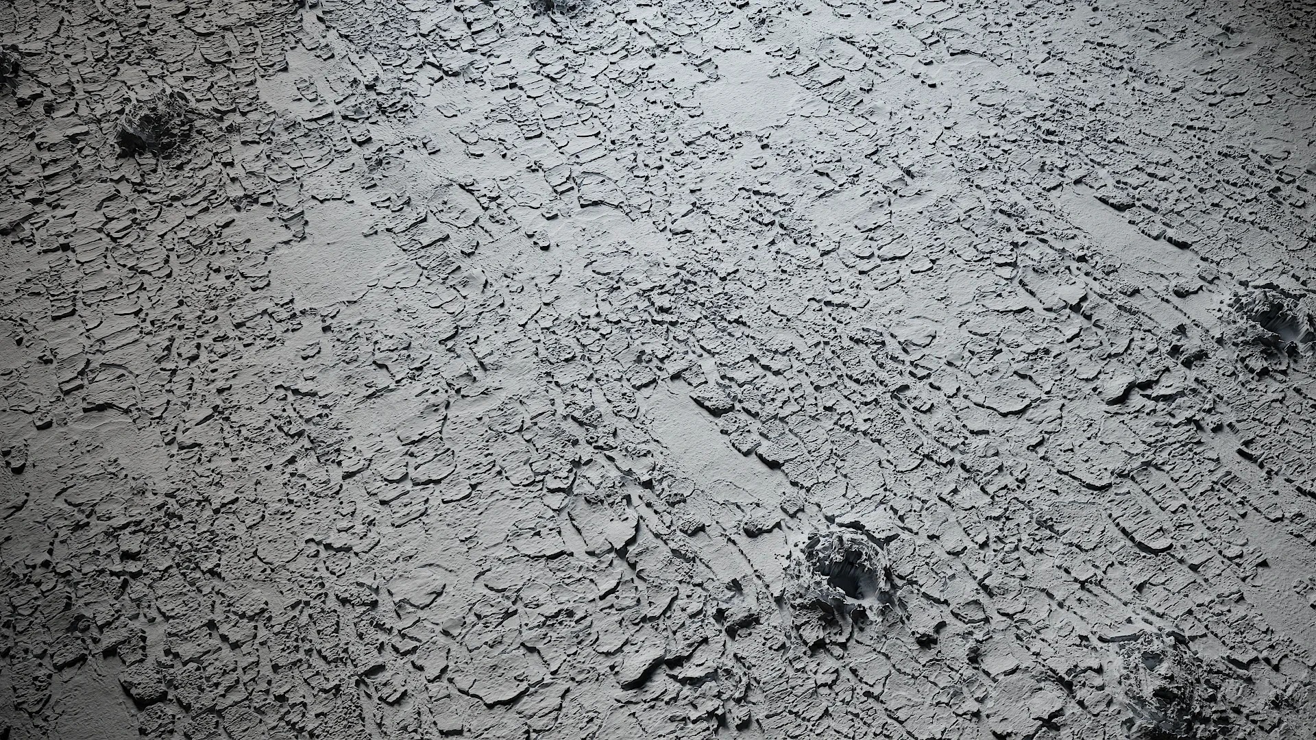 Bauhinia variegata Low-poly 3D model_41