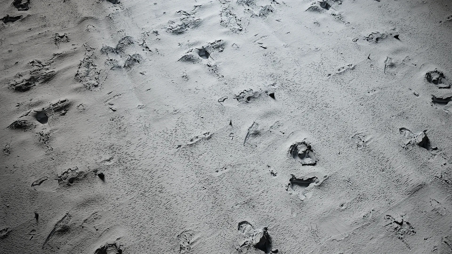 Bauhinia variegata Low-poly 3D model_47