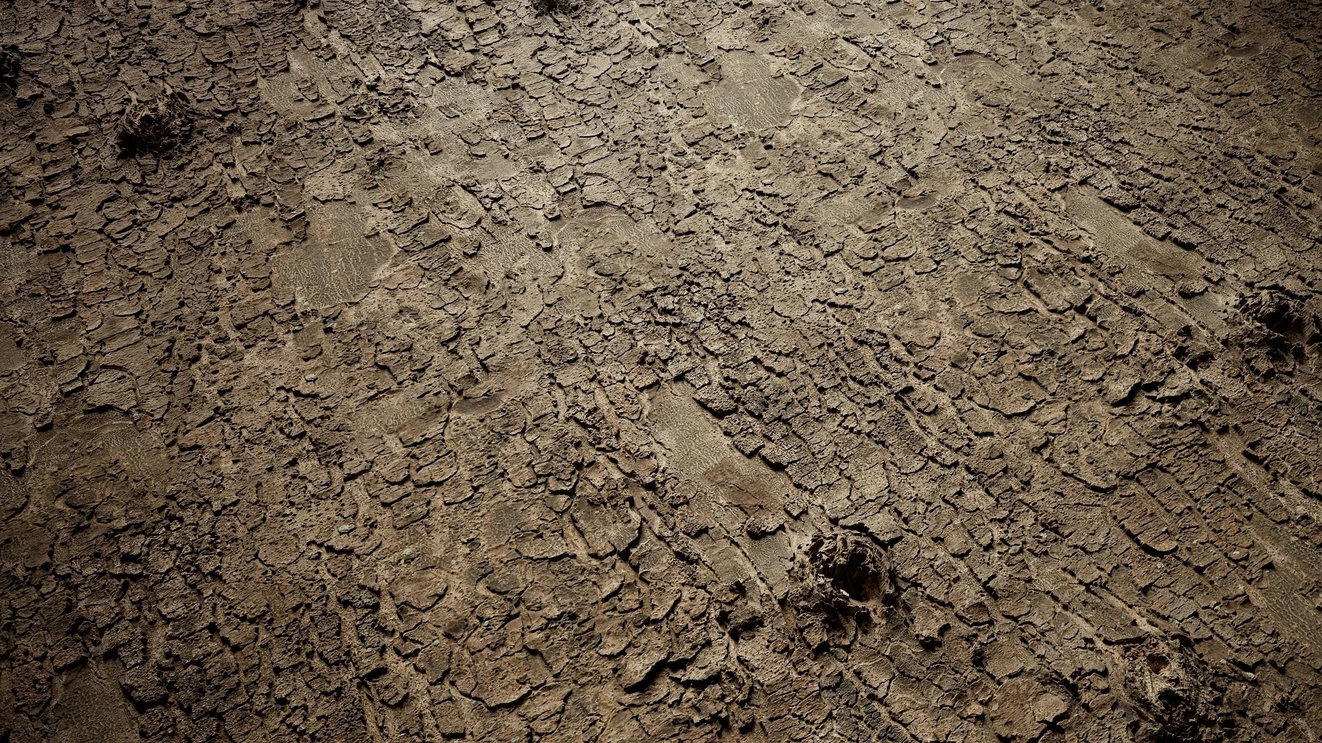 Bauhinia variegata Low-poly 3D model_40