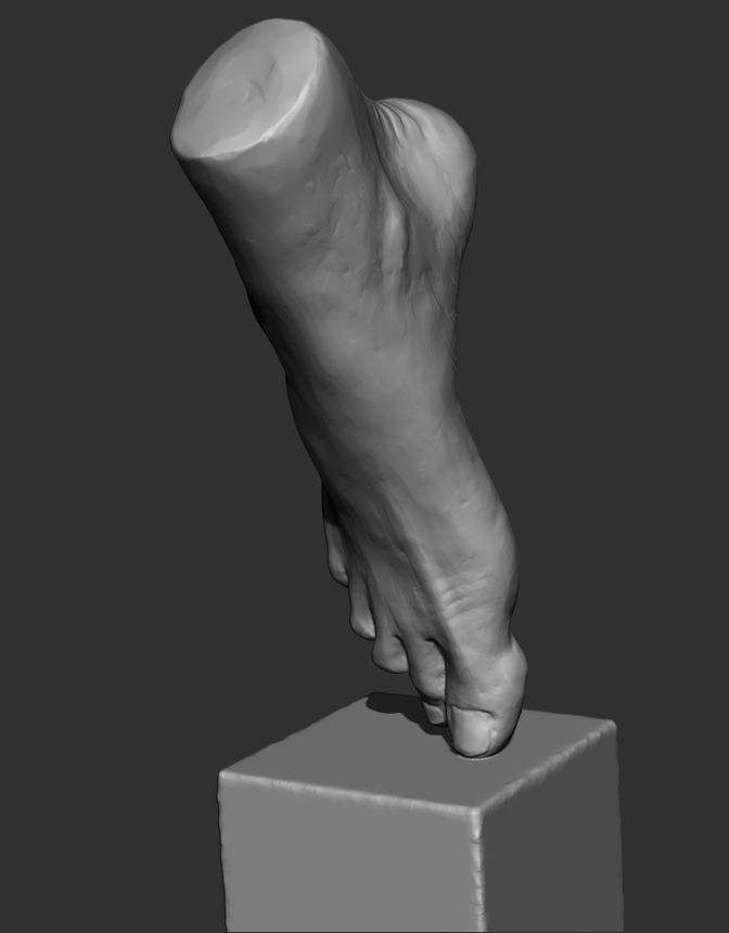 Foot Sculpture 3D model_1