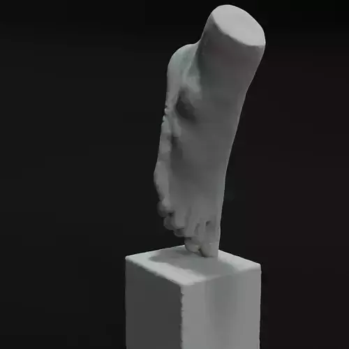 Foot Sculpture