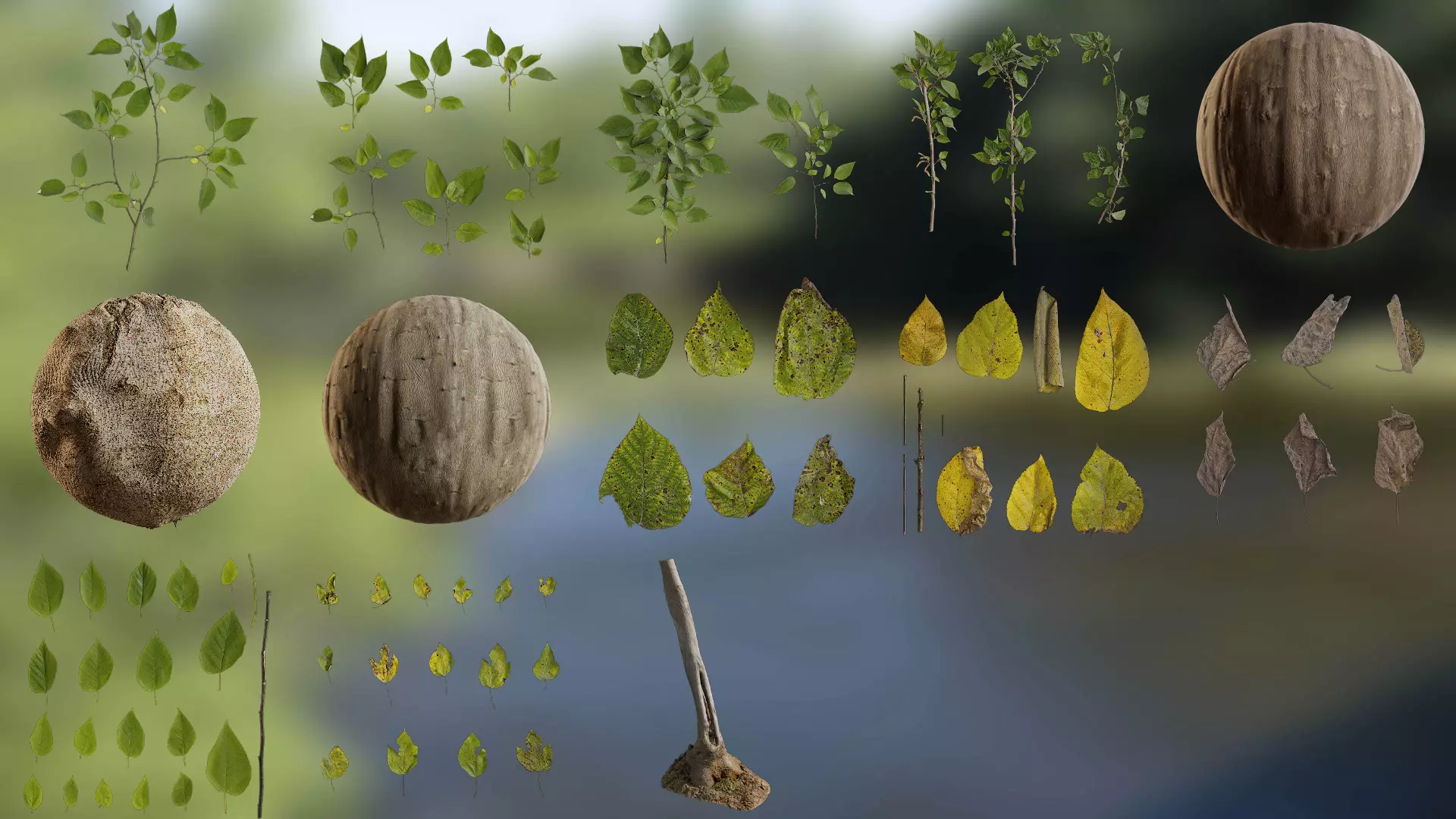 Broussonetia papyrifera Low-poly 3D model