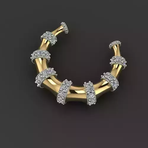 Dimond Earring Woman