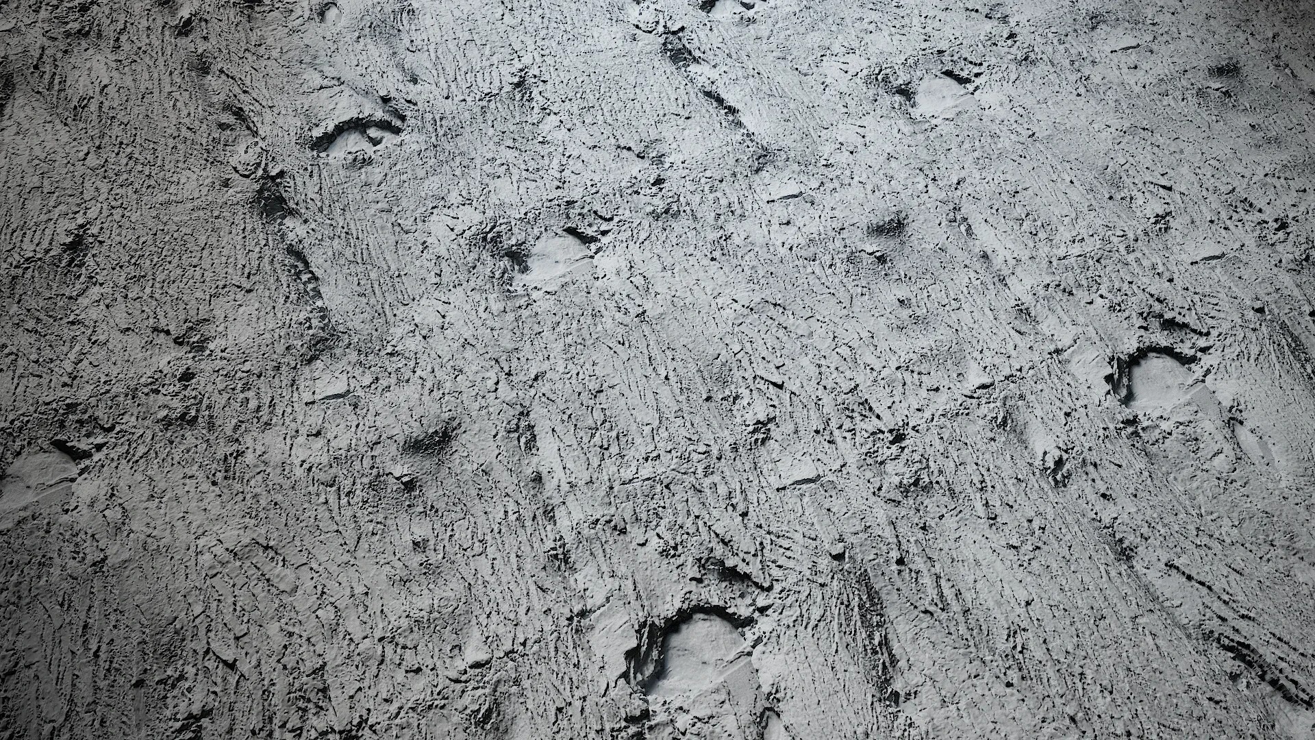 Cinnamomum burmannii Low-poly 3D model_39