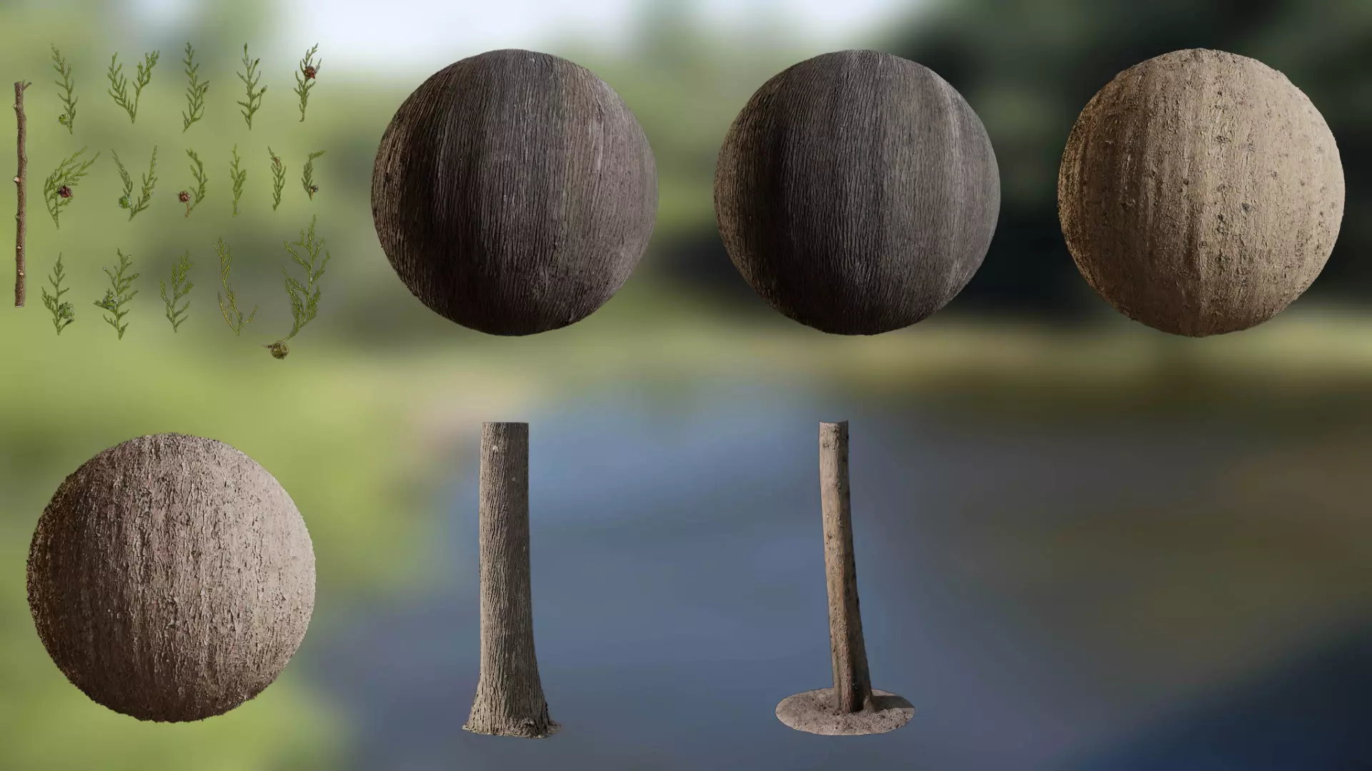 Cupressus funebris Low-poly 3D model