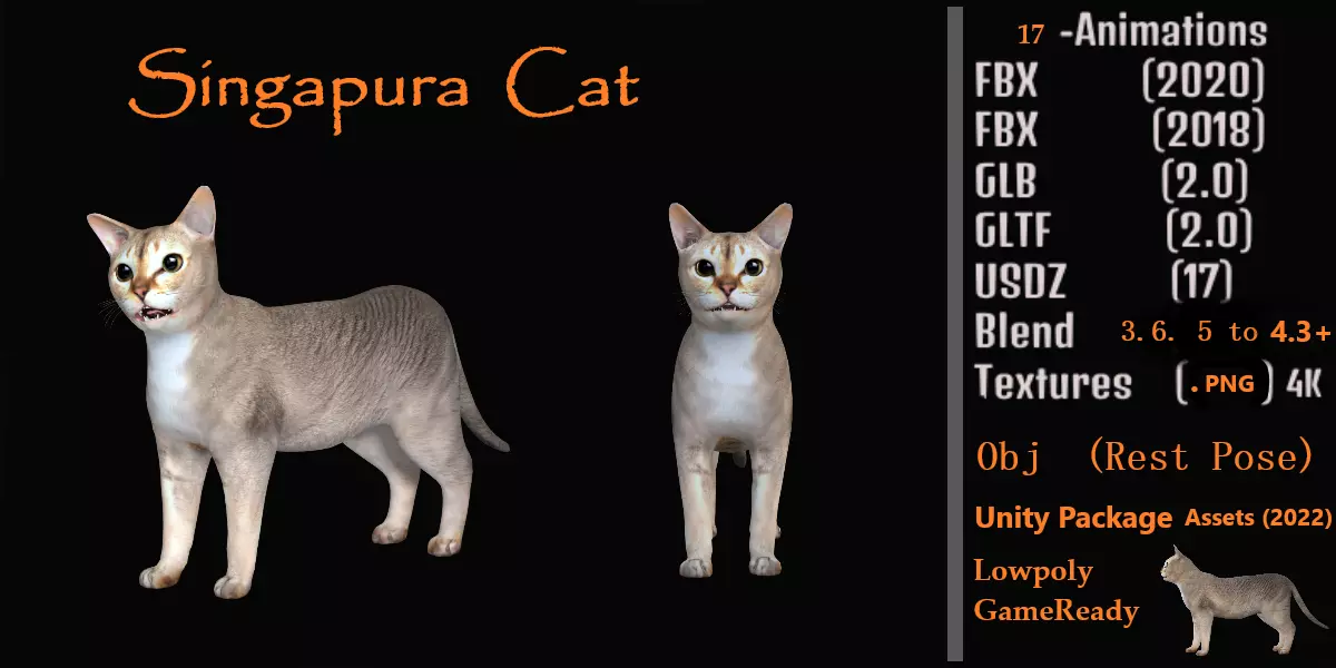 Singapura Cat Low-poly 3D model