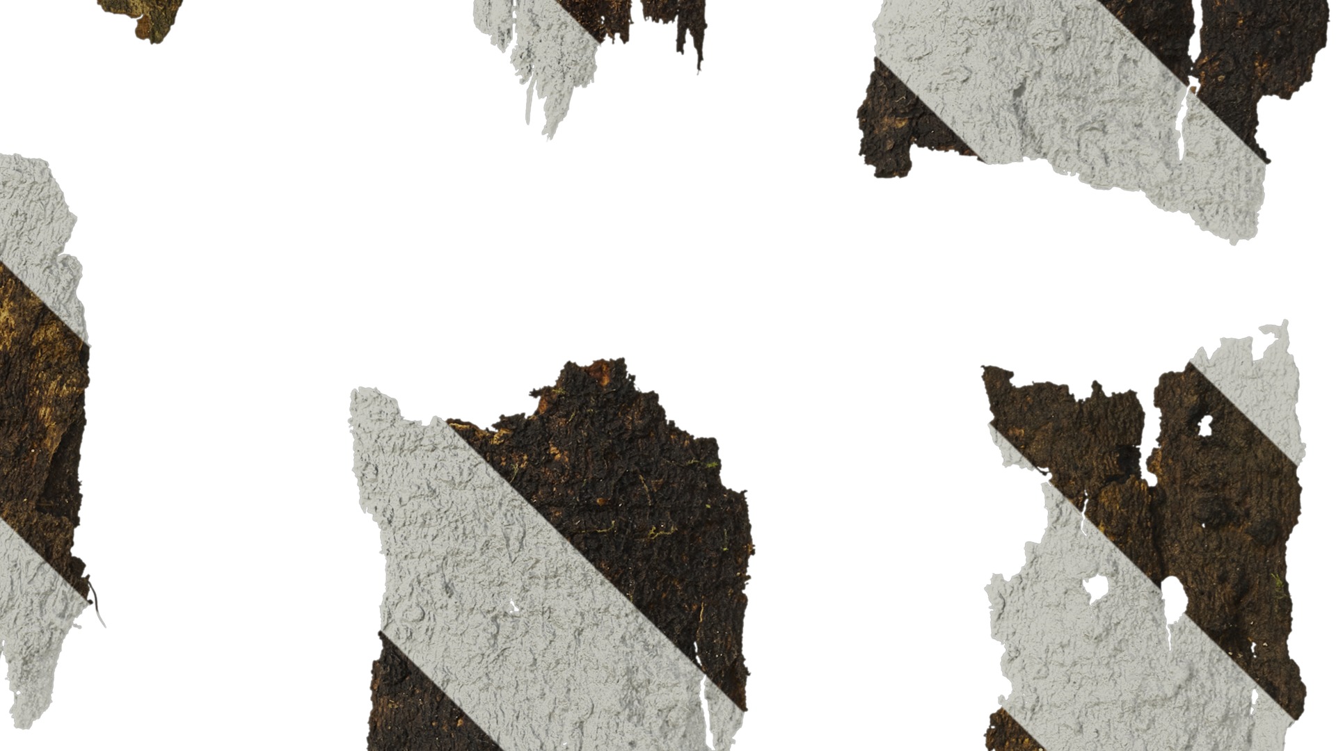 Anydrafts Bark 04 Texture_4