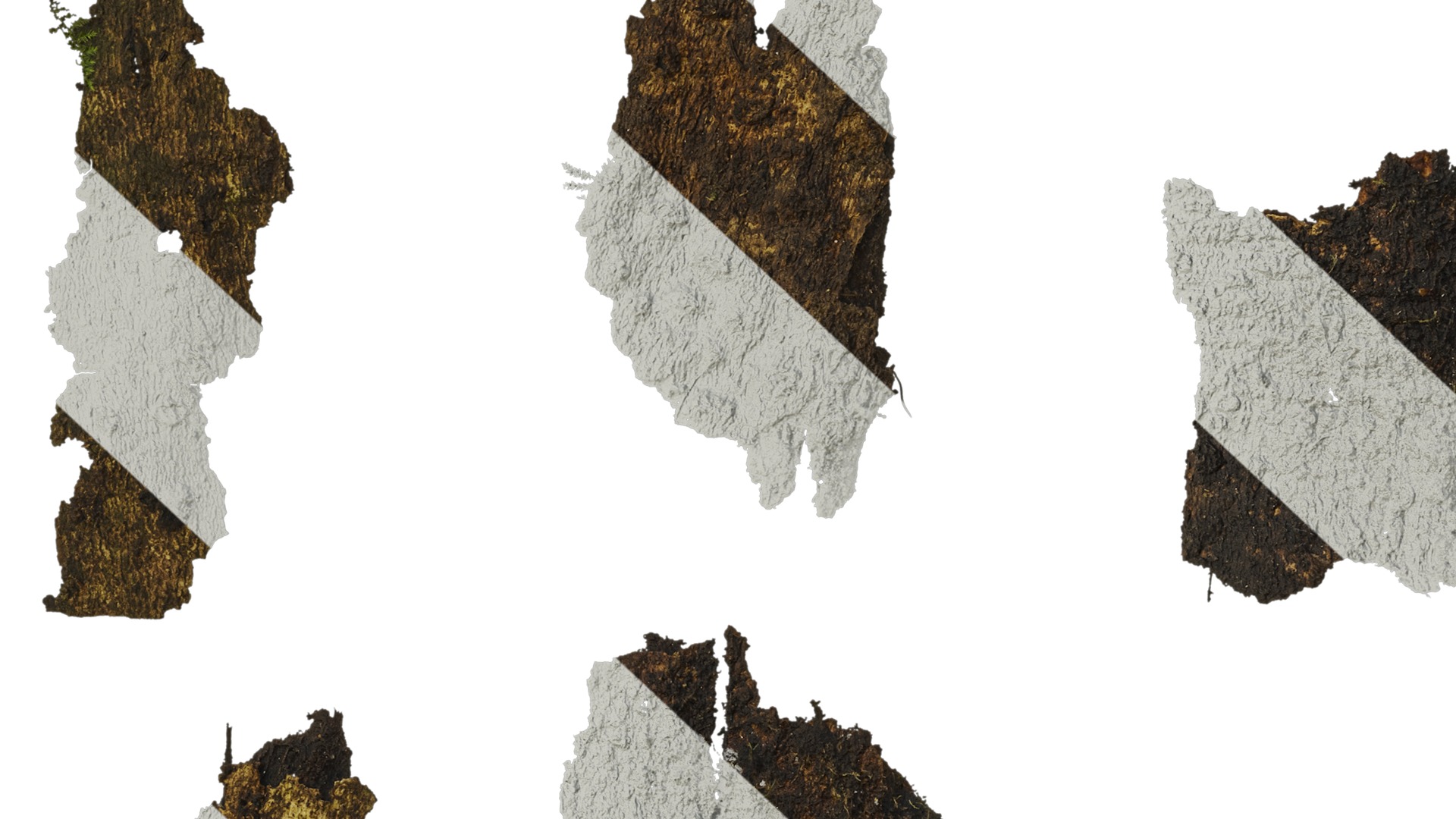 Anydrafts Bark 04 Texture_7