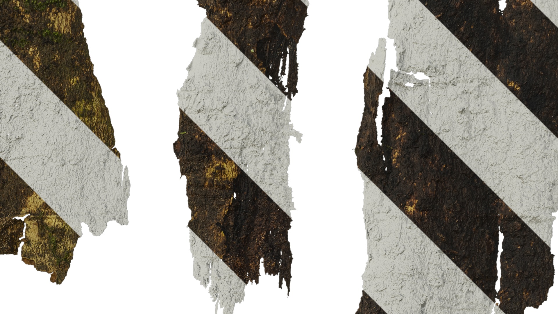 Anydrafts Bark 04 Texture_2