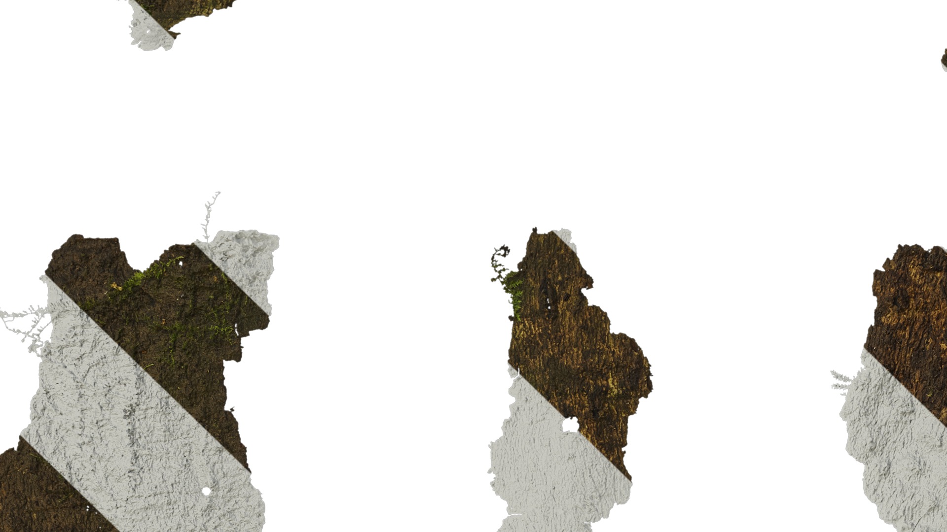 Anydrafts Bark 04 Texture_3