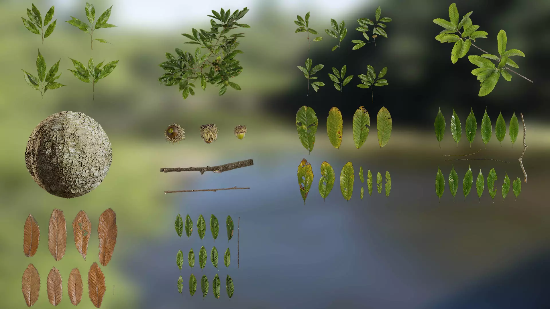 Cyclobalanopsis glauca Low-poly 3D model