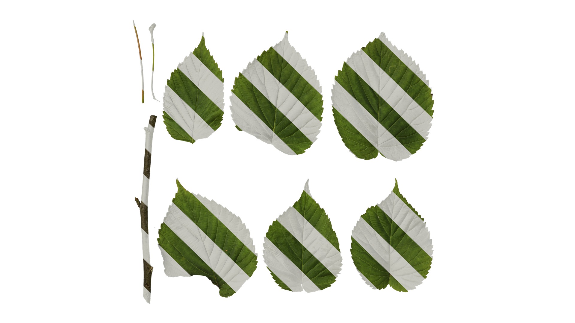Davidia involucrata Low-poly 3D model_70