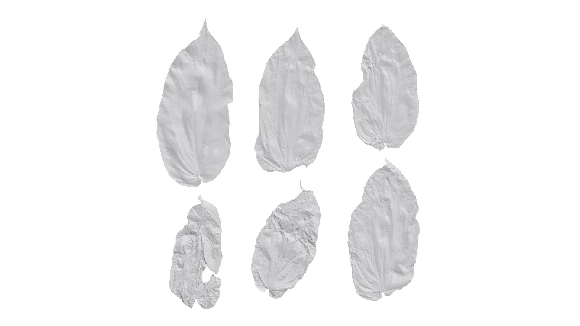 Davidia involucrata Low-poly 3D model_60