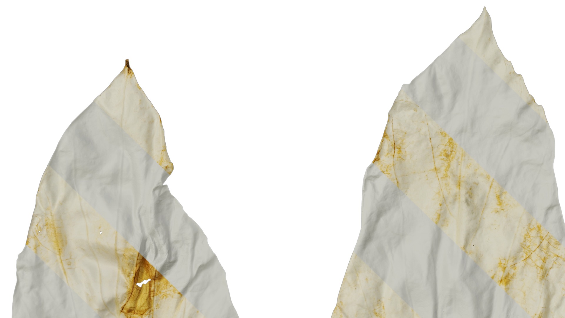 Davidia involucrata Low-poly 3D model_48