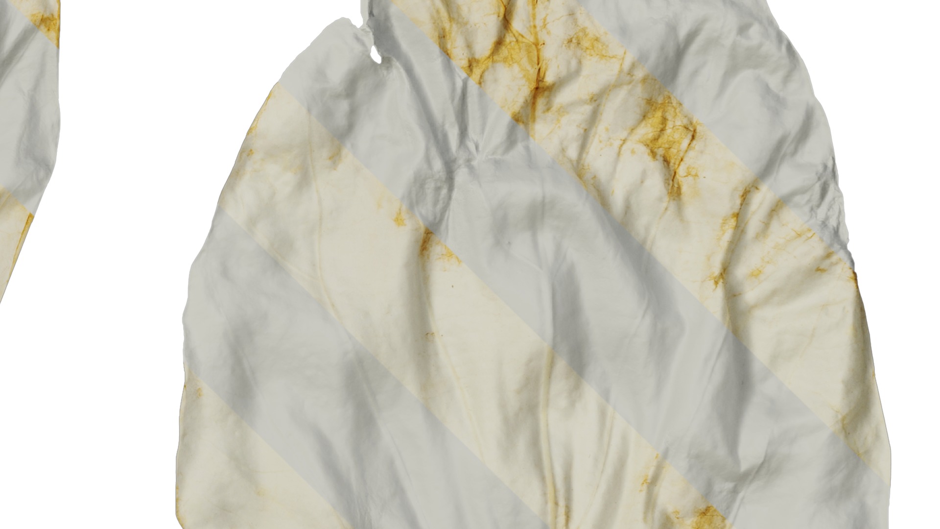 Davidia involucrata Low-poly 3D model_47