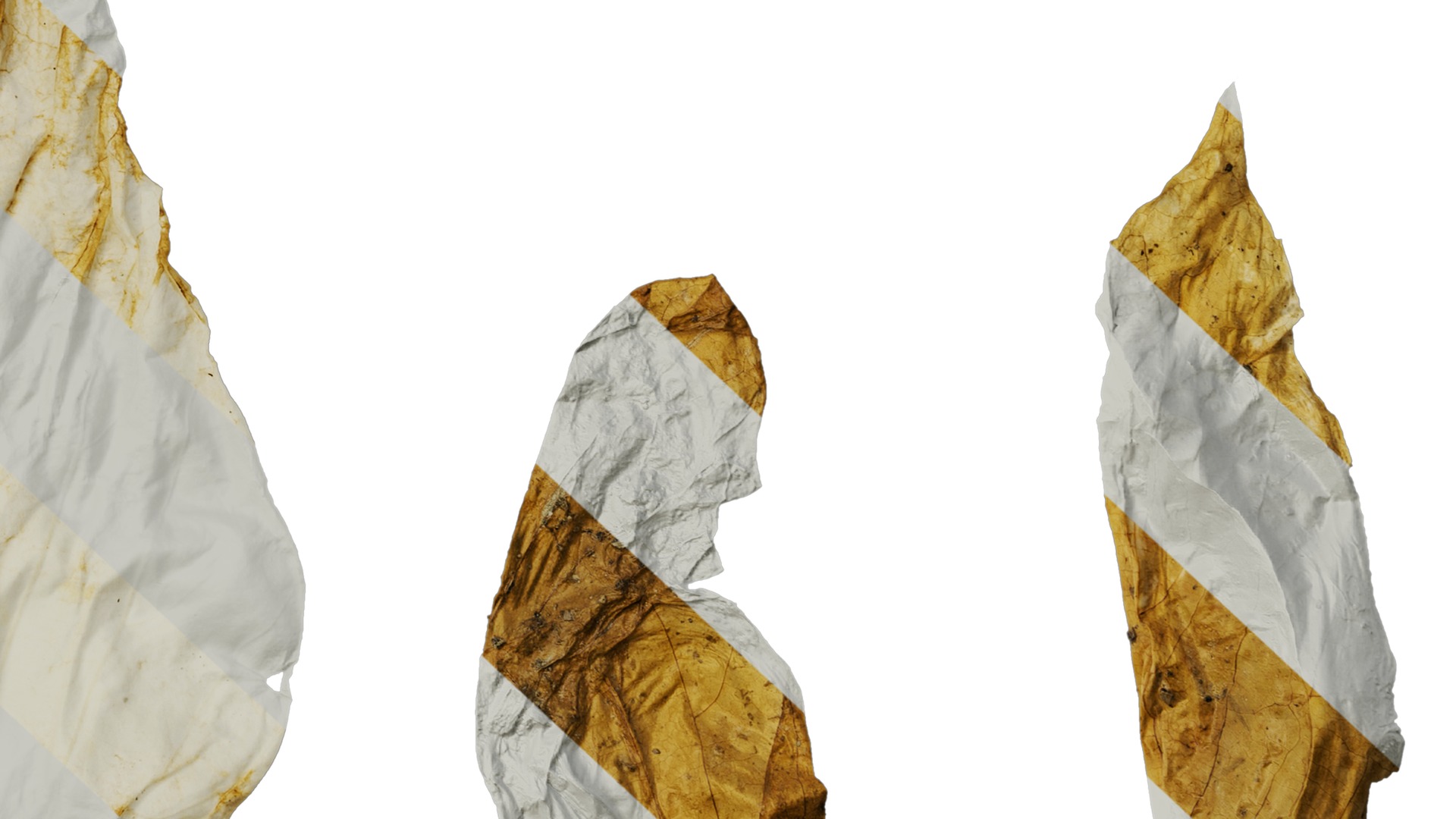 Davidia involucrata Low-poly 3D model_58