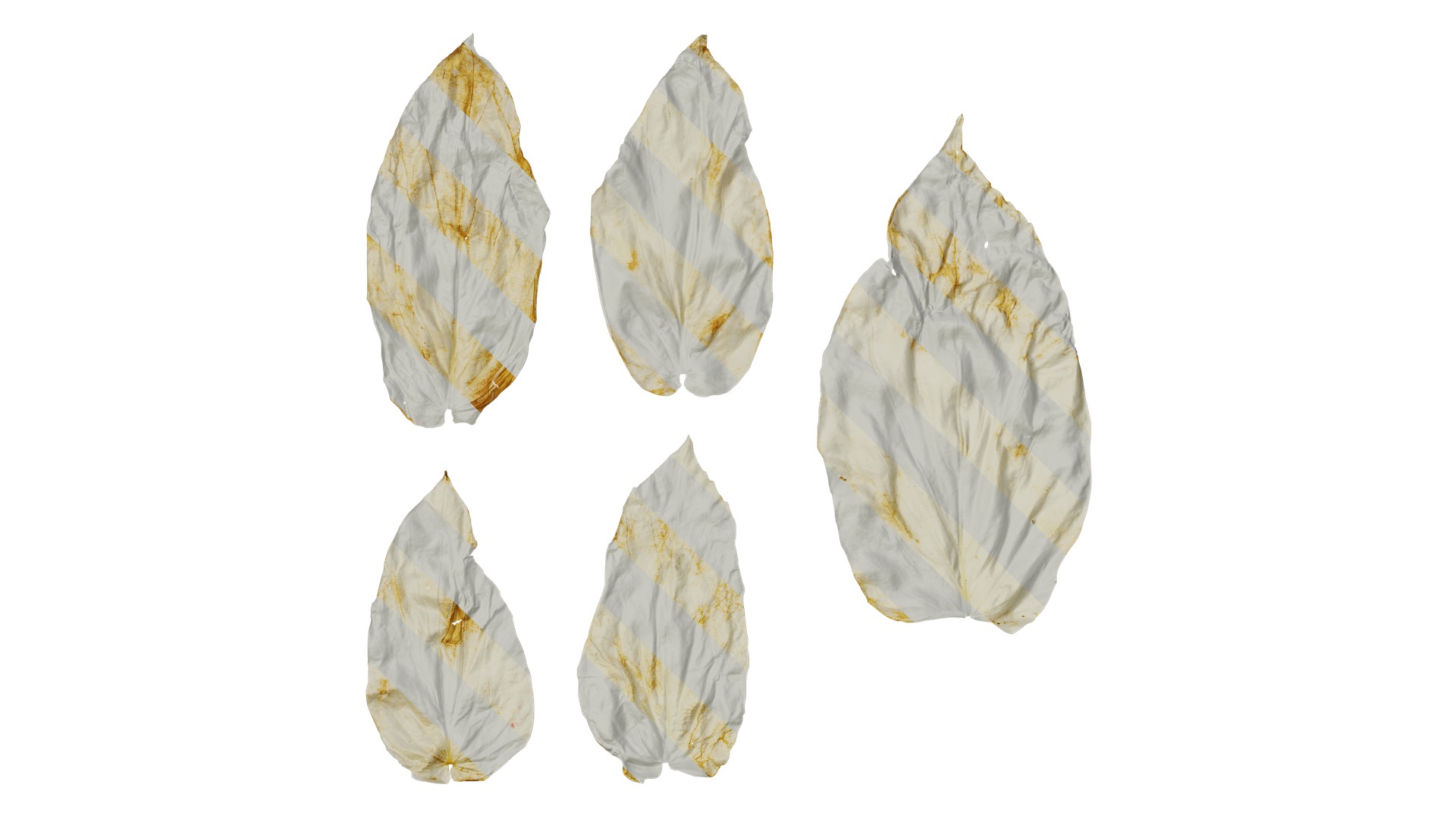 Davidia involucrata Low-poly 3D model_43