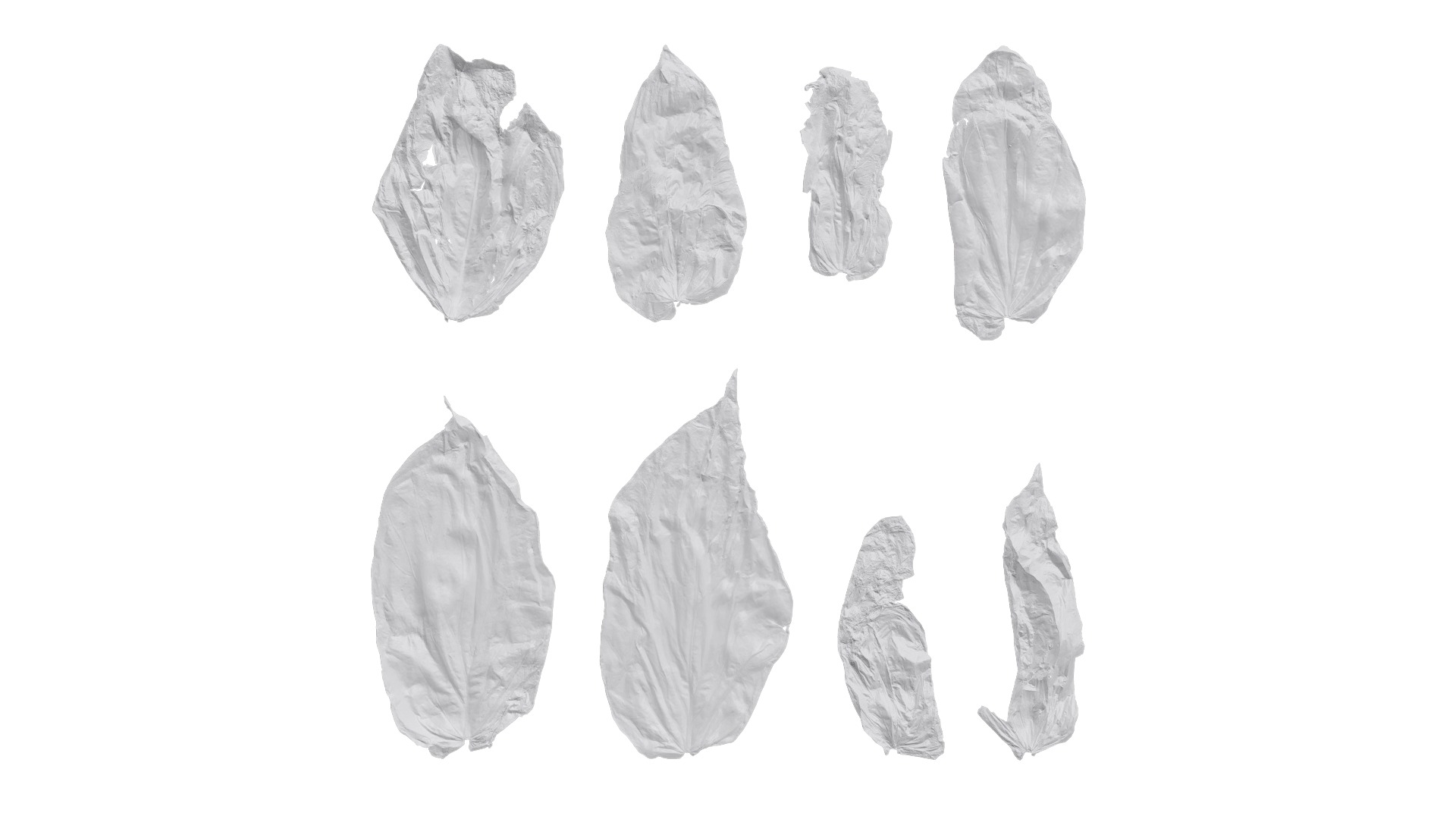 Davidia involucrata Low-poly 3D model_51