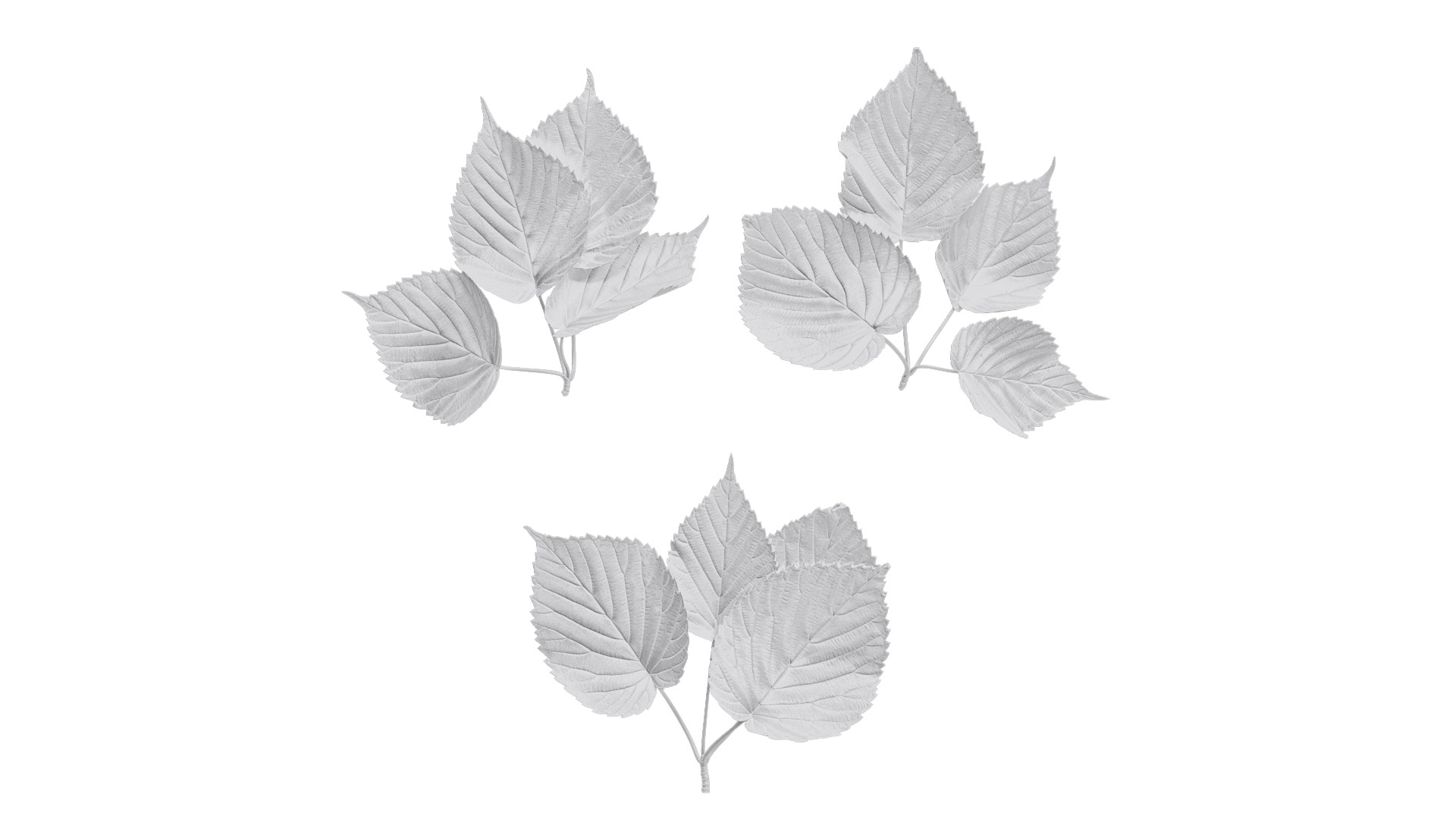 Davidia involucrata Low-poly 3D model_2