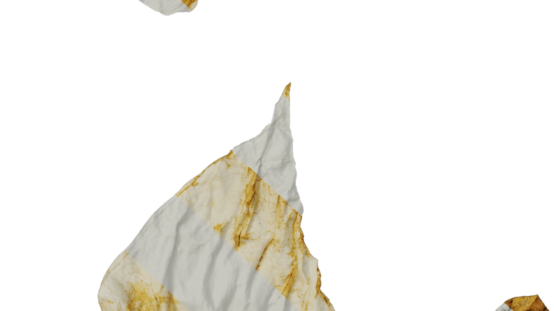 Davidia involucrata Low-poly 3D model_59