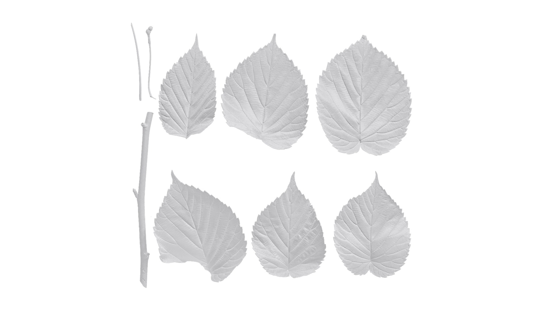 Davidia involucrata Low-poly 3D model_69