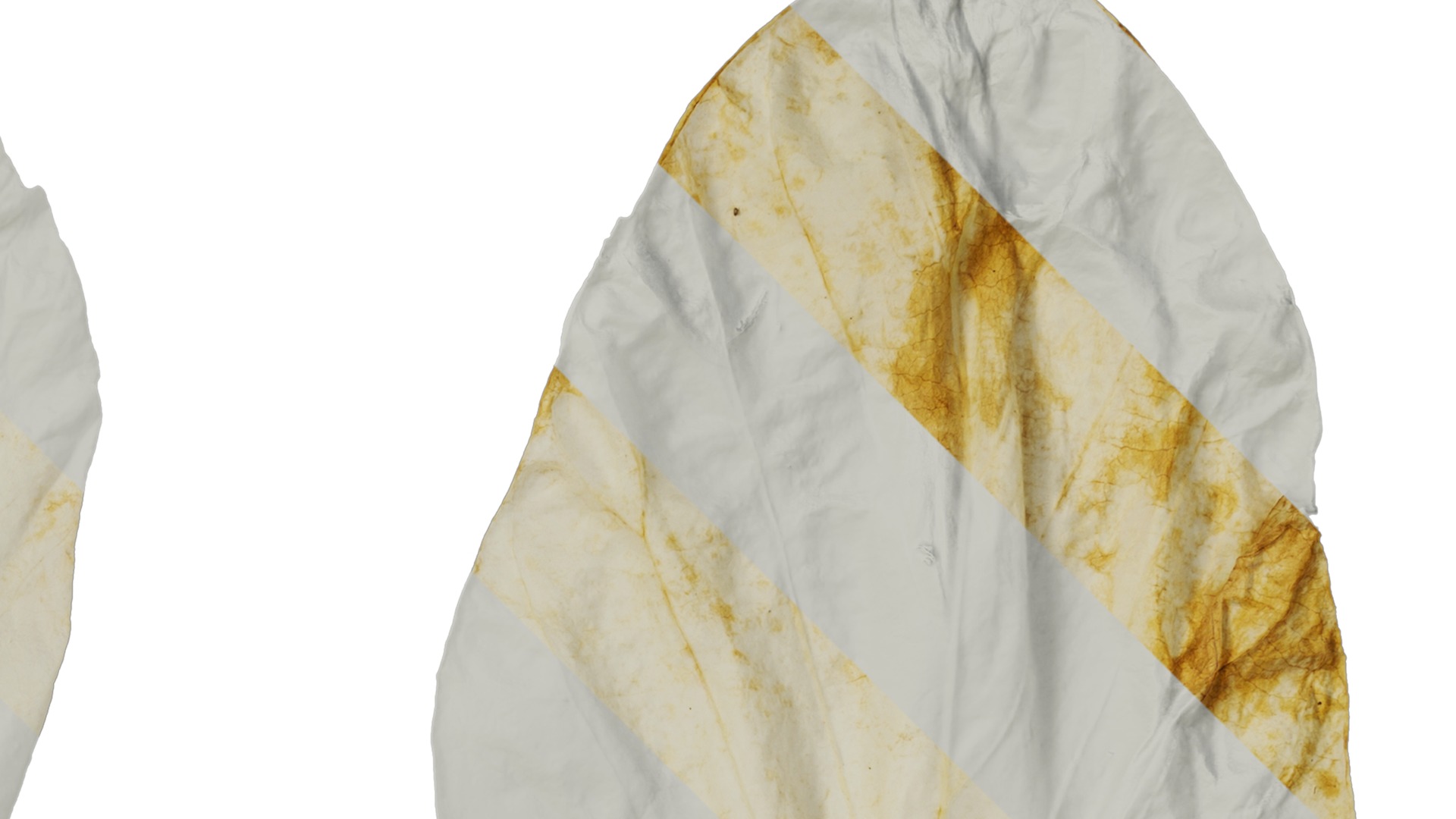 Davidia involucrata Low-poly 3D model_36