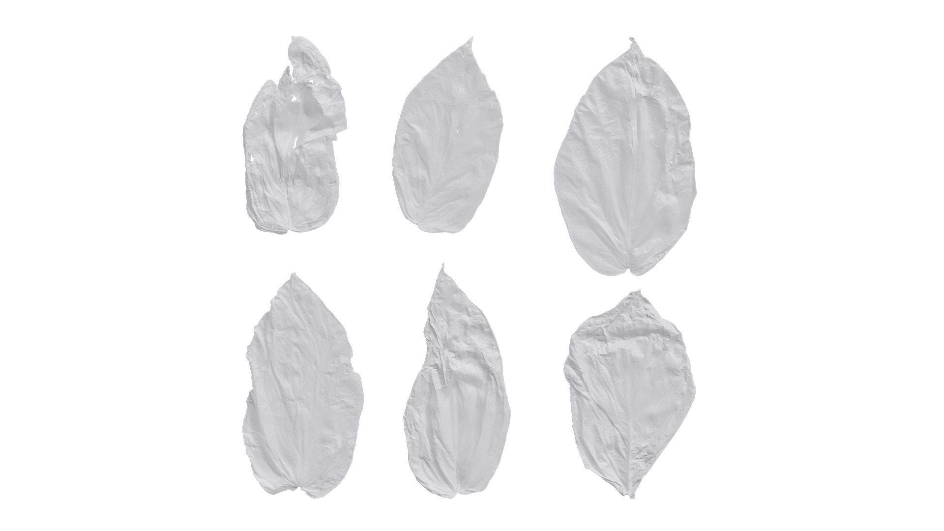 Davidia involucrata Low-poly 3D model_33