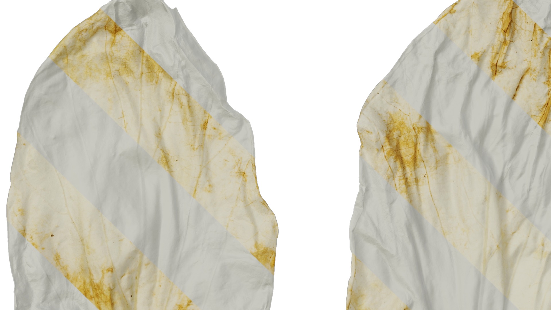 Davidia involucrata Low-poly 3D model_57