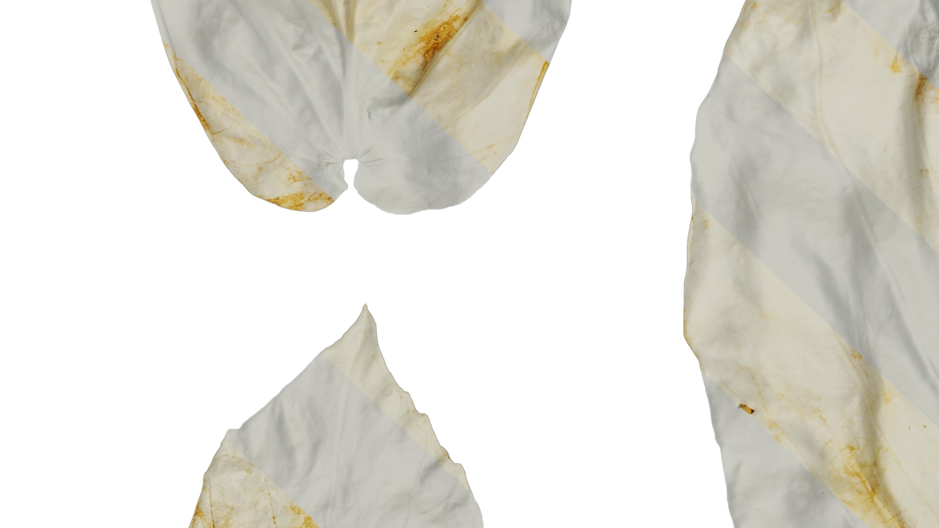 Davidia involucrata Low-poly 3D model_50