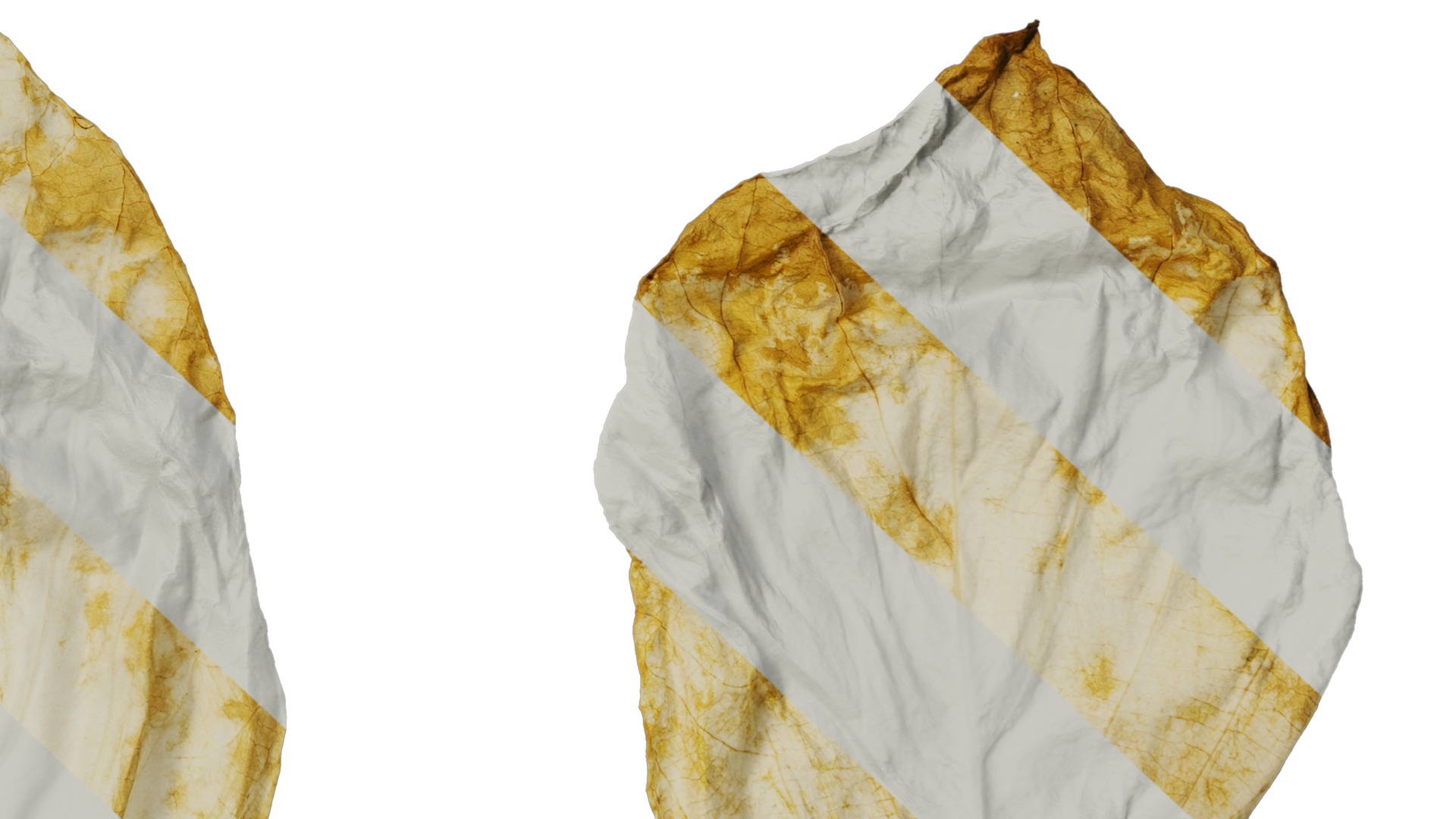 Davidia involucrata Low-poly 3D model_40