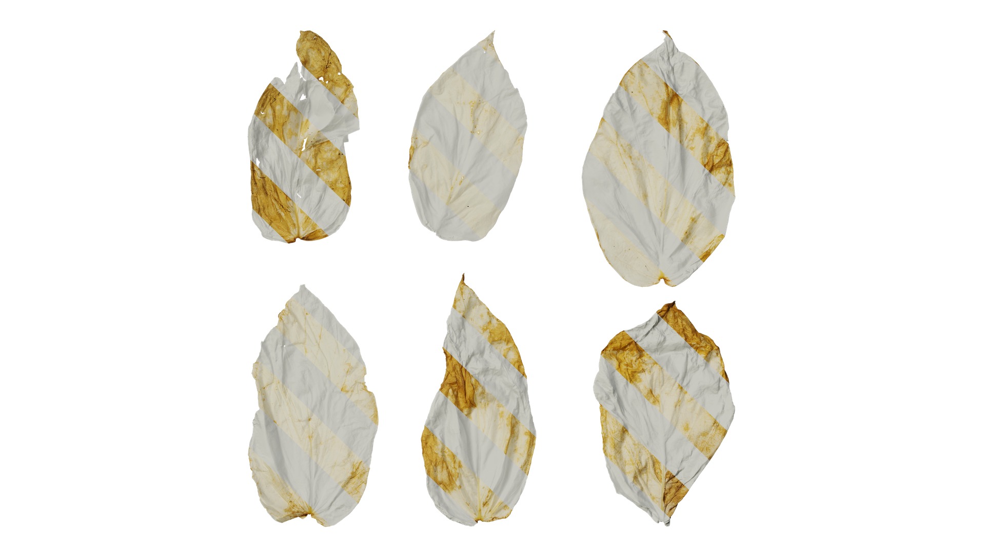 Davidia involucrata Low-poly 3D model_34