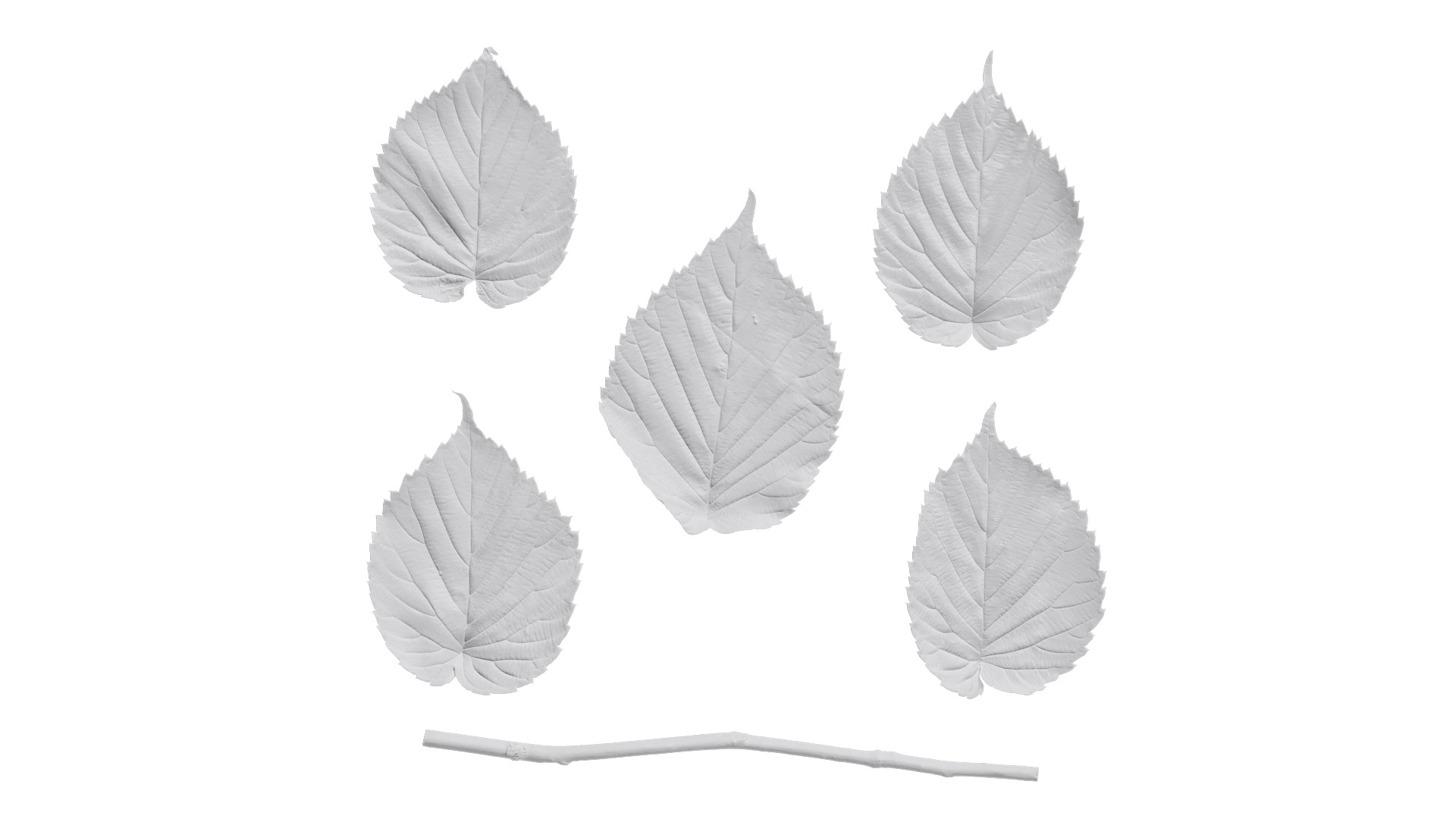 Davidia involucrata Low-poly 3D model_87