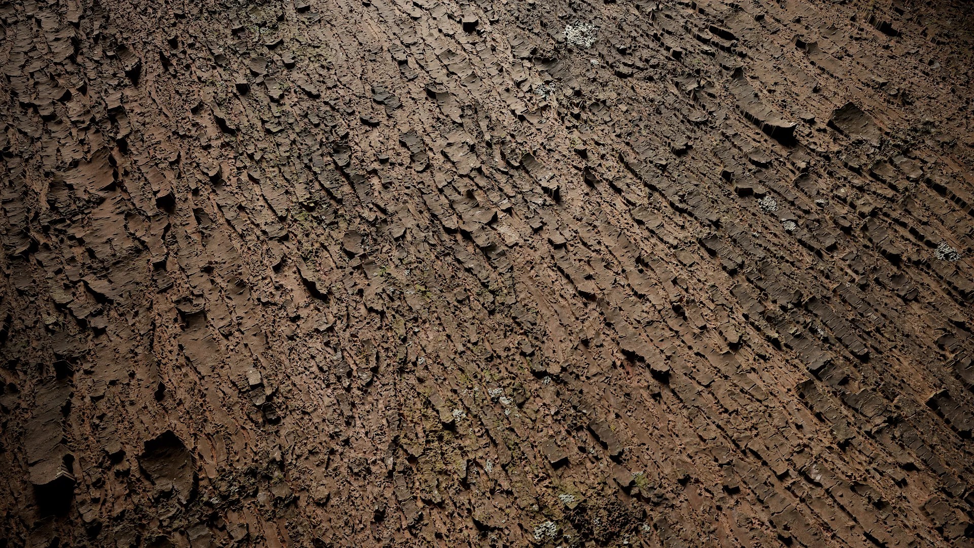 Davidia involucrata Low-poly 3D model_31