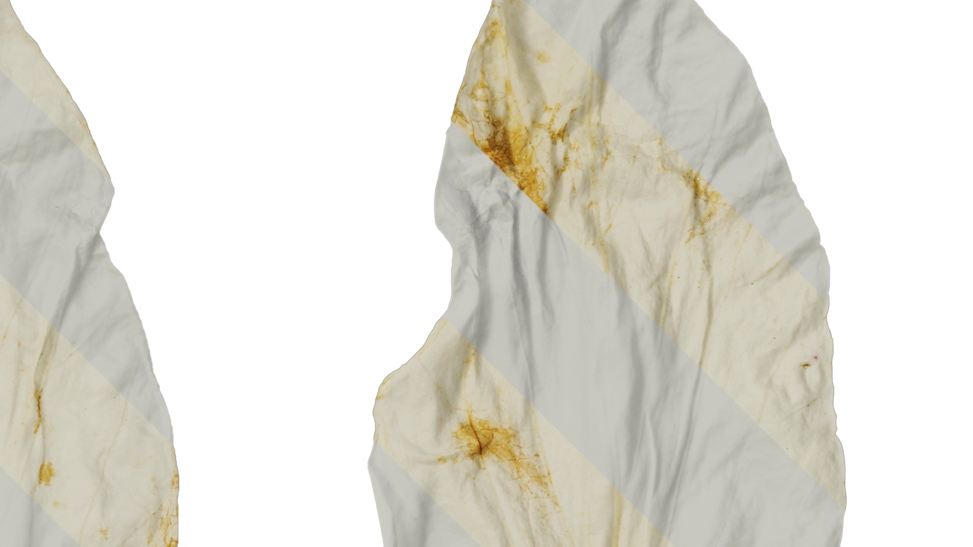 Davidia involucrata Low-poly 3D model_63