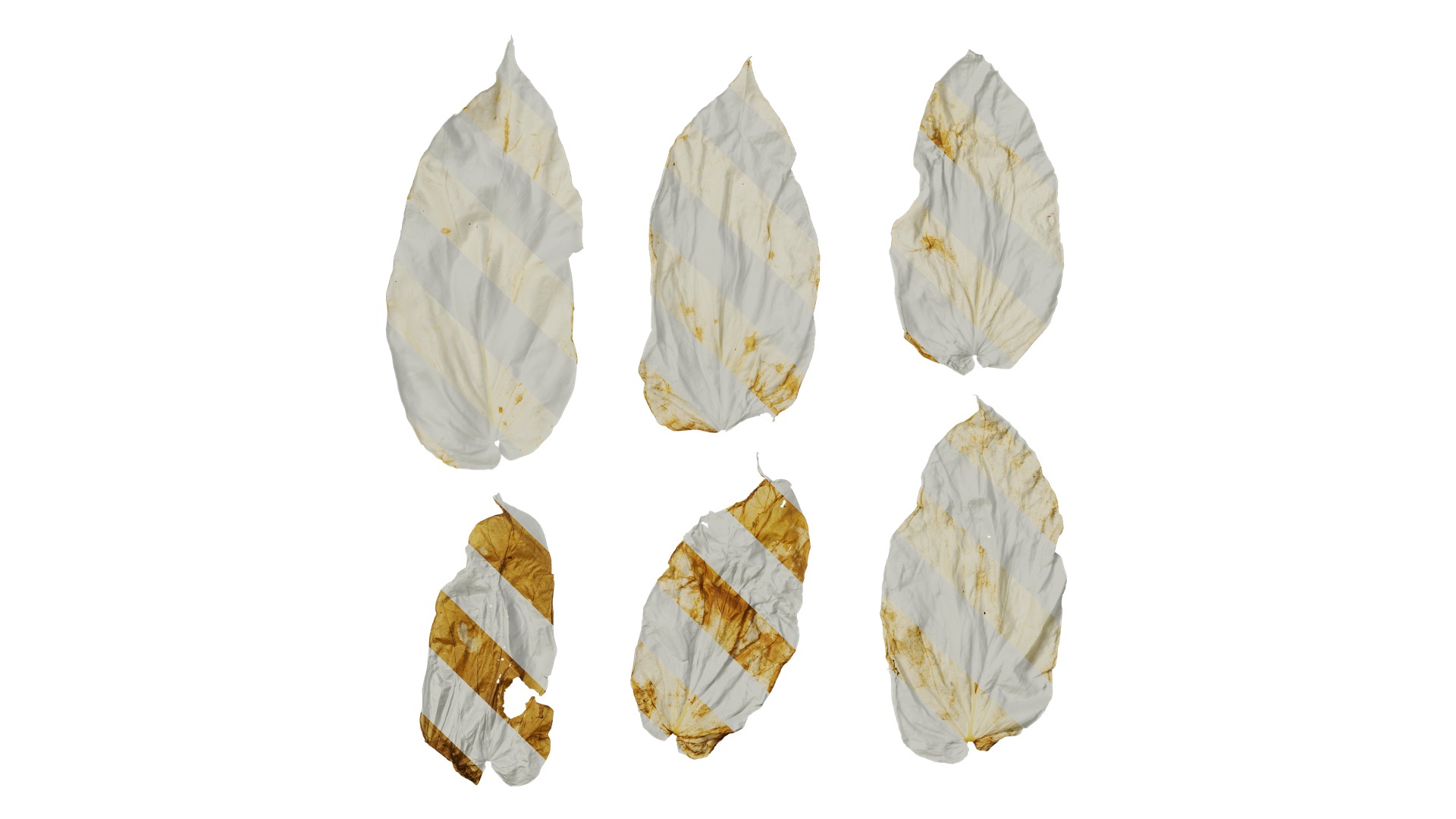 Davidia involucrata Low-poly 3D model_61